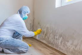 Forensic Mold Investigation in Wichita, KS